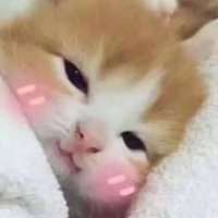 ****啦头像