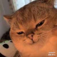 打游戏还债中～头像