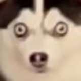 *雕头像