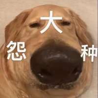 ****受头像
