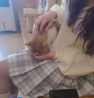 情头滴滴服务图片1