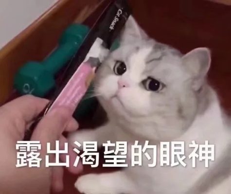 投喂服务图片1