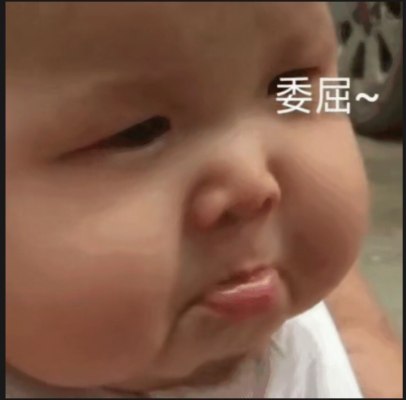 攒钱买猫粮服务图片1