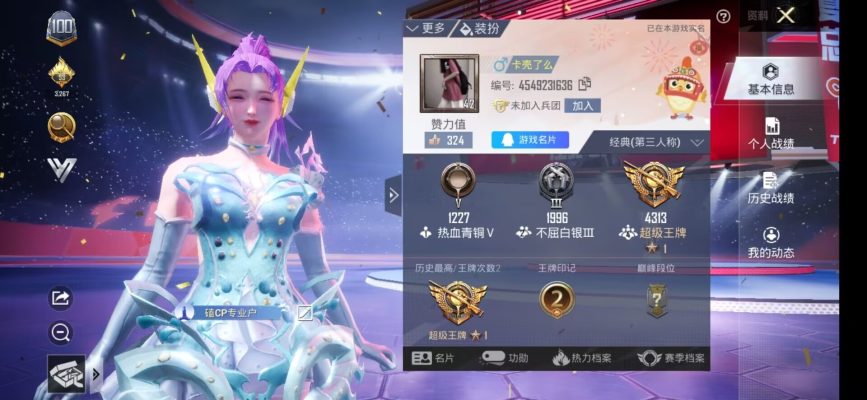 和平精英服务图片1