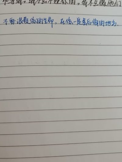 书法+写字服务图片2