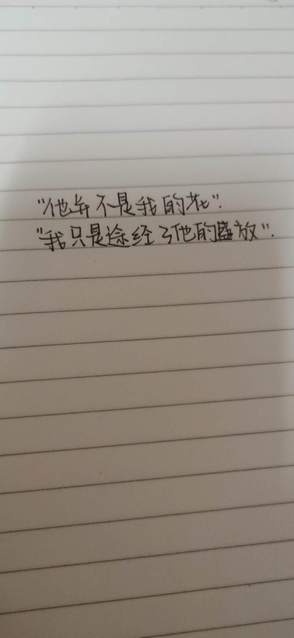 书法+写字图片5