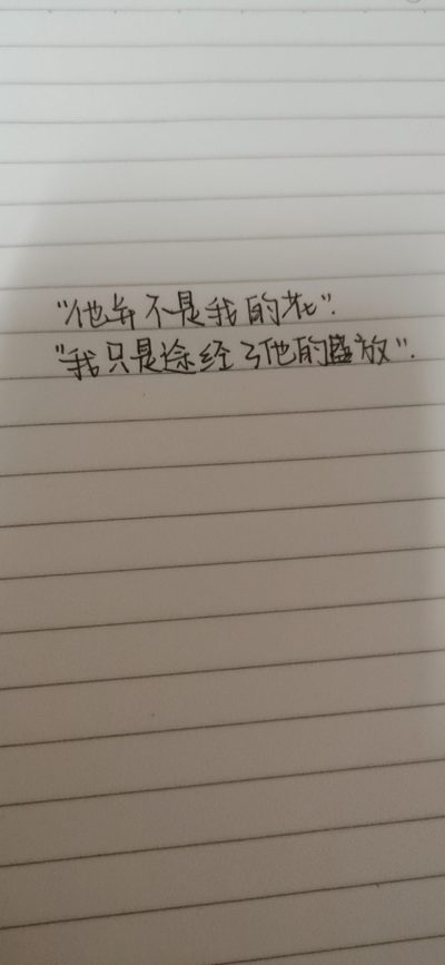 书法+写字服务图片5