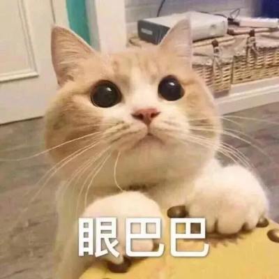 打赏服务图片1