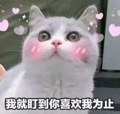 唱歌服务图片1