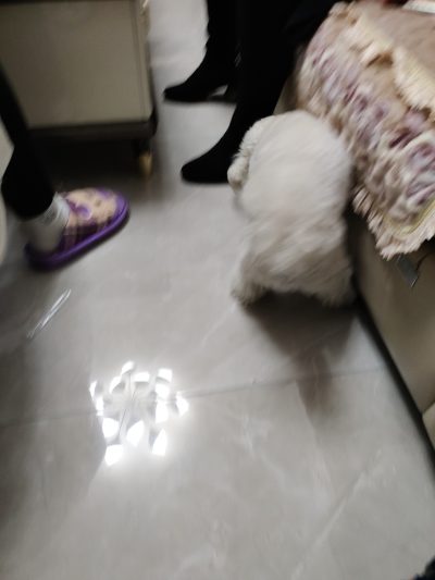 七夕孤寡青蛙服务图片1
