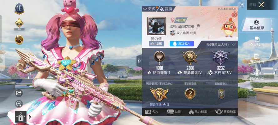 和平精英服务图片1