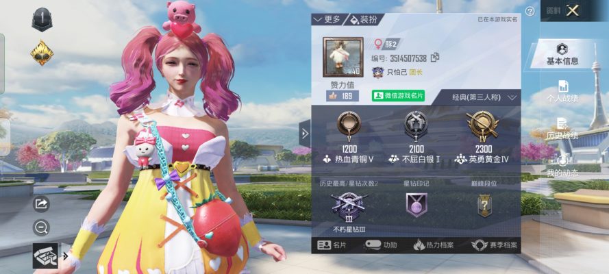 和平精英服务图片2