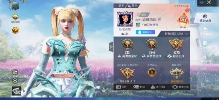 和平精英服务图片1