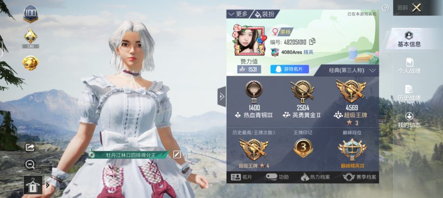 和平精英服务图片1