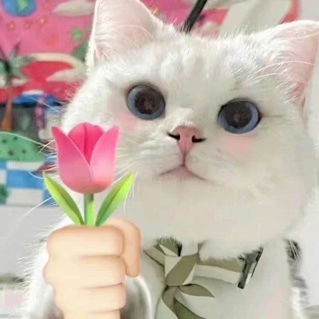 打赏单图片1