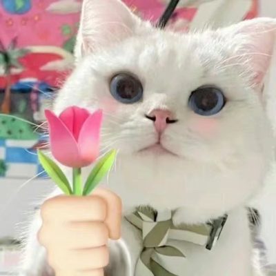 打赏单服务图片1