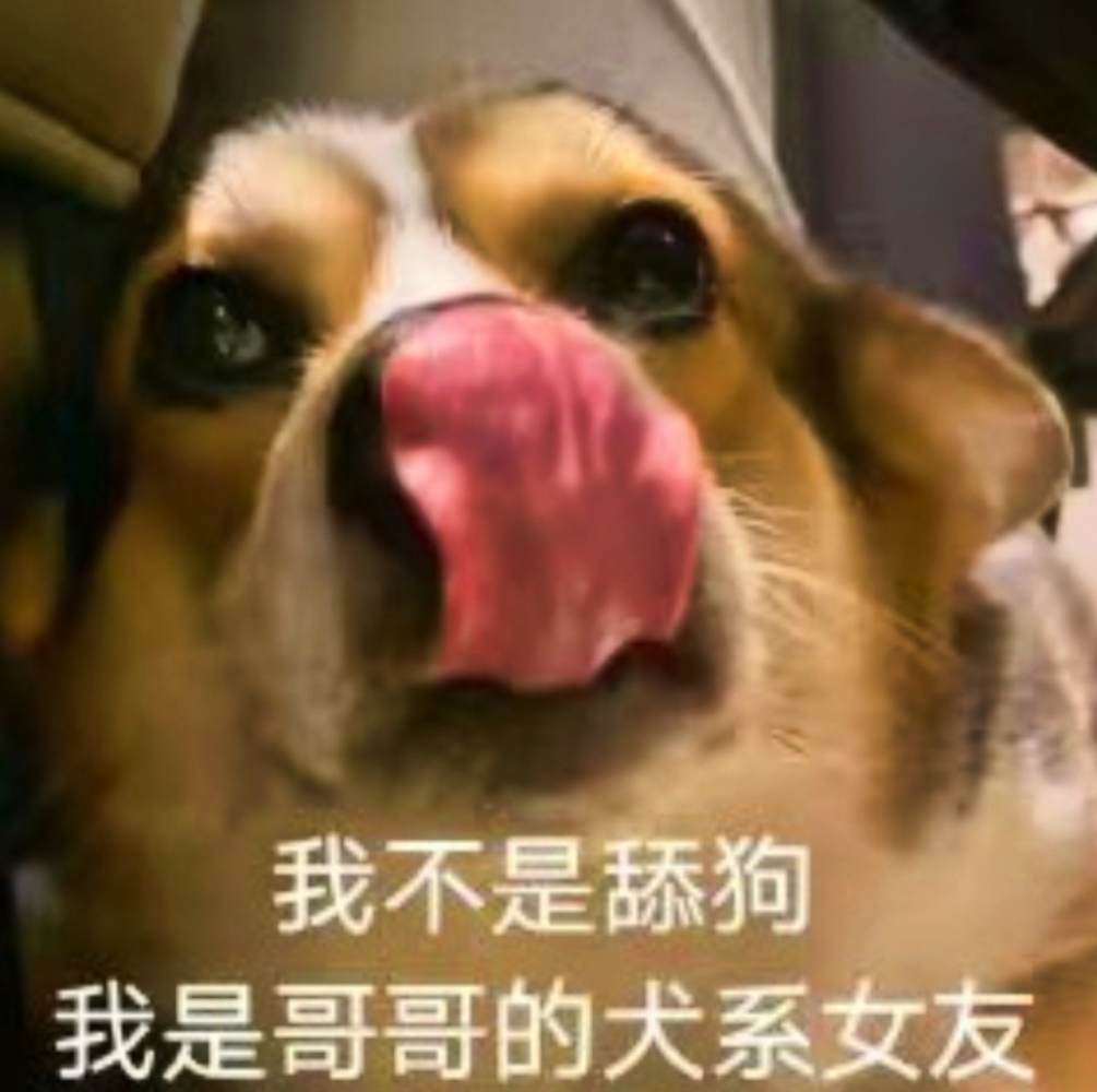 舔狗服务图片1