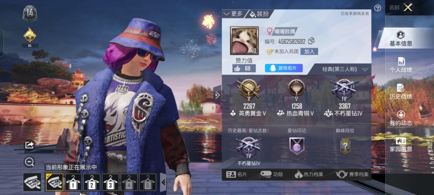 和平精英服务图片1