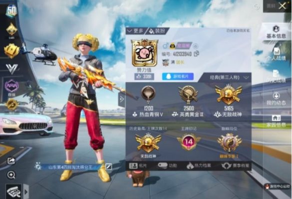 和平精英服务图片1