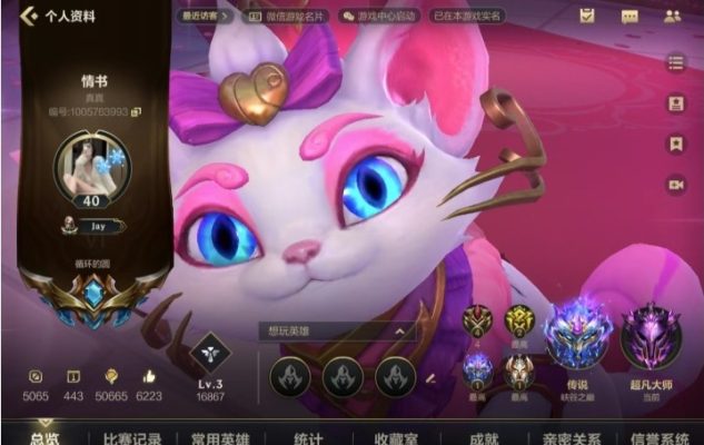 英雄联盟手游服务图片1