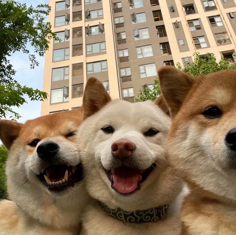打赏图片1