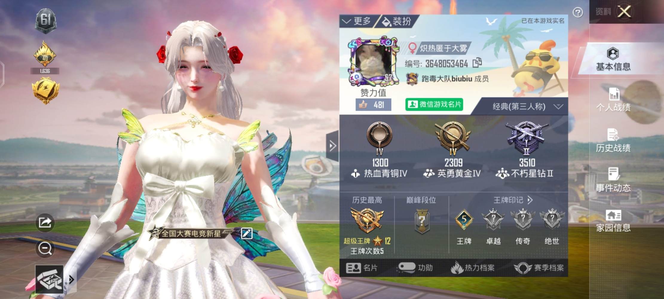 和平精英图片1