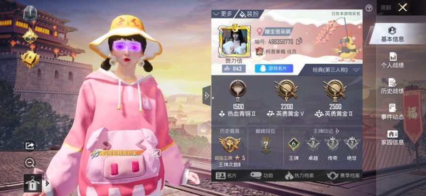 和平精英服务图片1