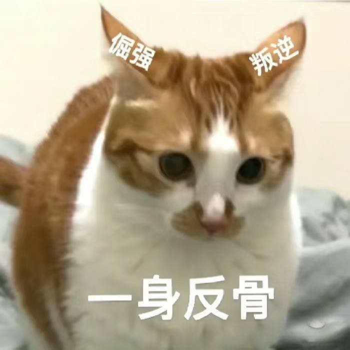 打赏图片1