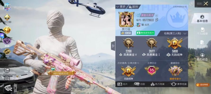 和平精英服务图片1