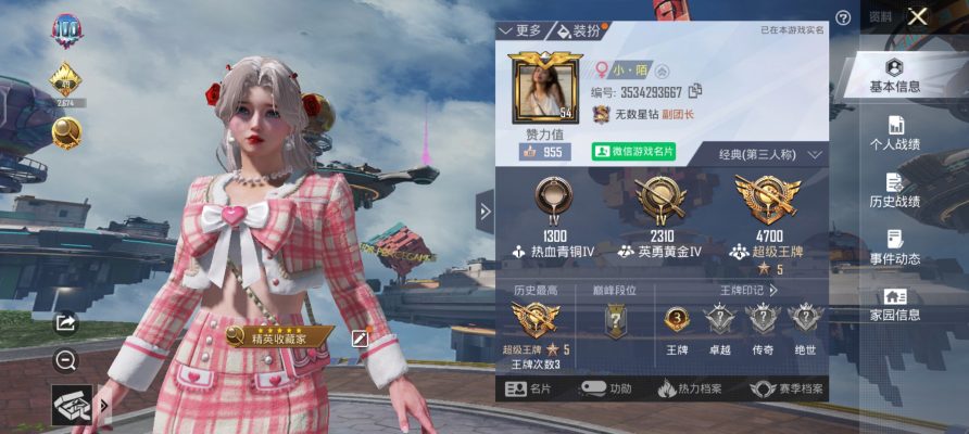 和平精英服务图片1
