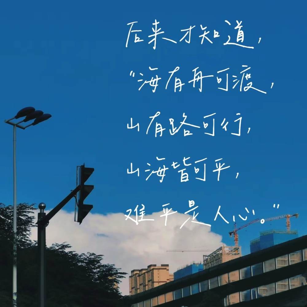 留言板图片3