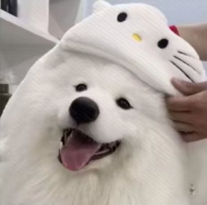 树洞服务图片1