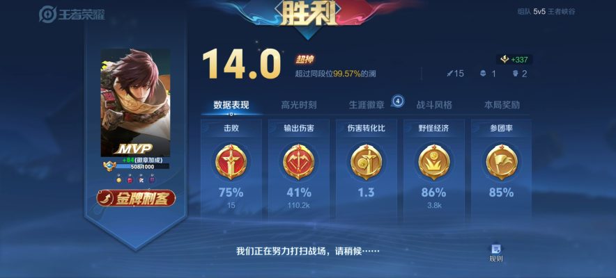 指定打野服务图片1