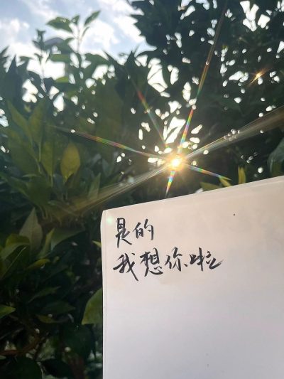 音乐服务图片1
