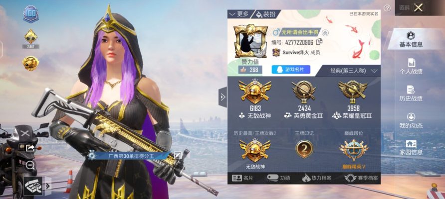 和平精英服务图片2