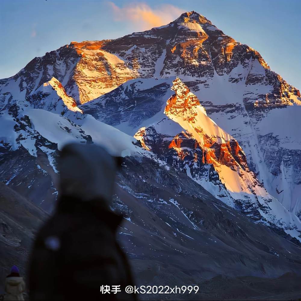 “挣脱枷锁，飞向自由”图片1