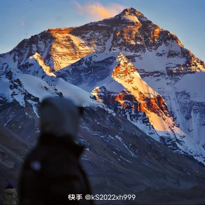 “挣脱枷锁，飞向自由”服务图片1