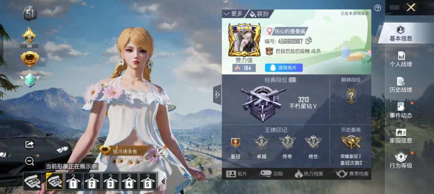 和平精英服务图片1