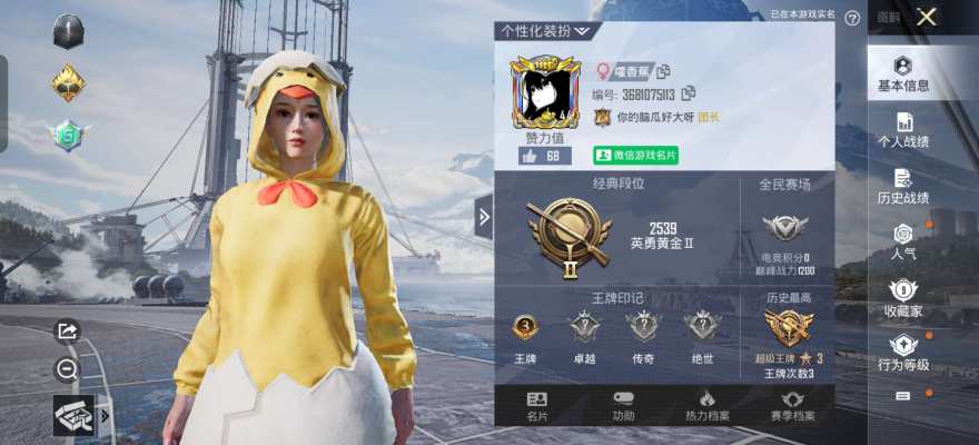 和平精英服务图片2
