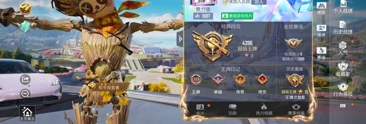 和平精英服务图片1