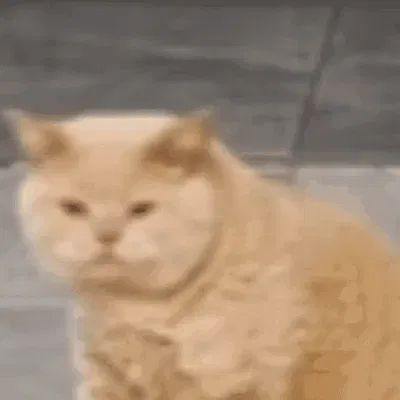 树洞服务图片1