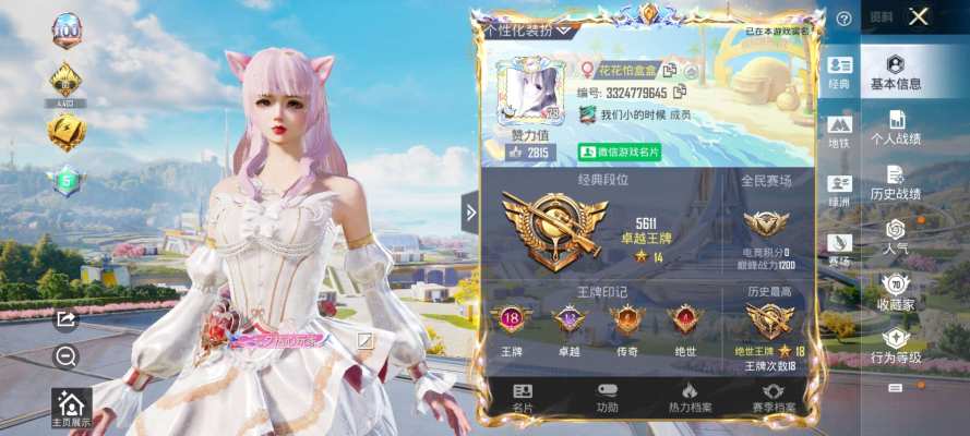 和平精英服务图片1