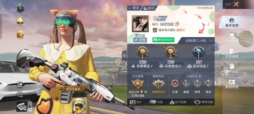 和平精英服务图片1