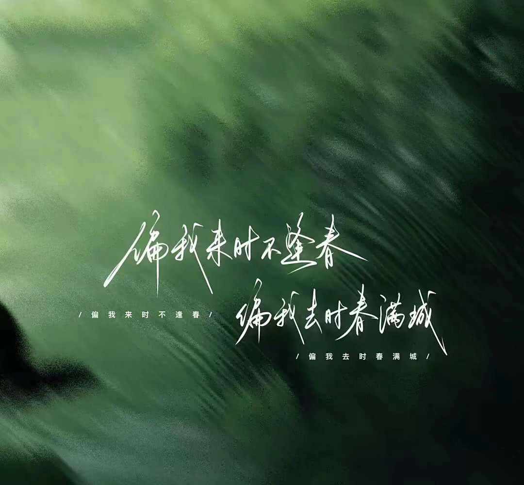 开心果图片1
