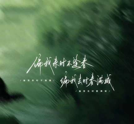 开心果服务图片1