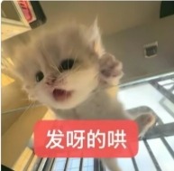 小咪的礼物单服务图片1