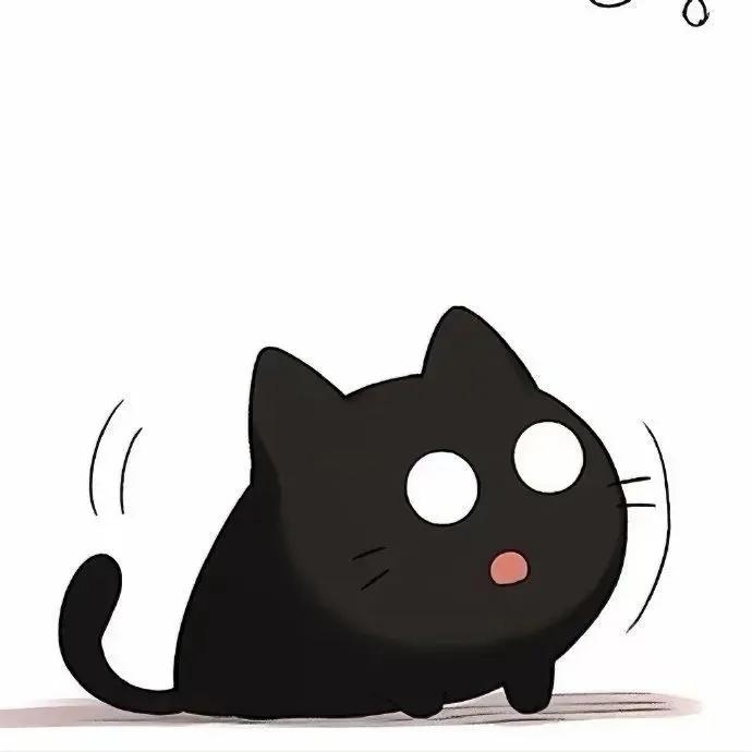 搭子图片1