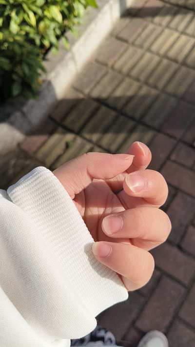 打赏服务图片1