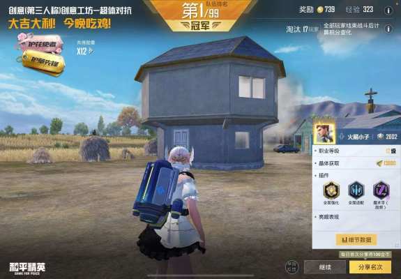 和平精英服务图片1