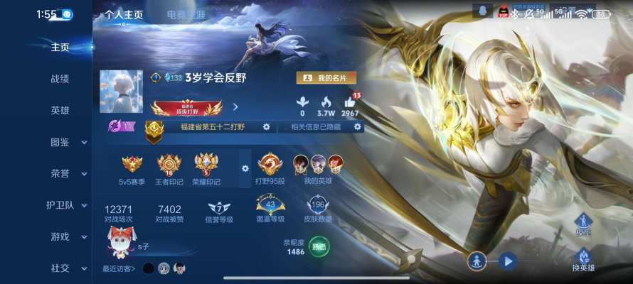 王者娱乐，代打和蹭标单服务图片1